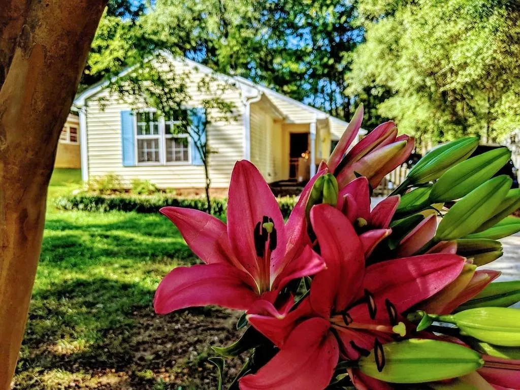 Rare Downtown Matthews Walk 2 Shops Restauraunts Hike Clt 2 Bedroom Not 3Br Charlotte Estados Unidos da América